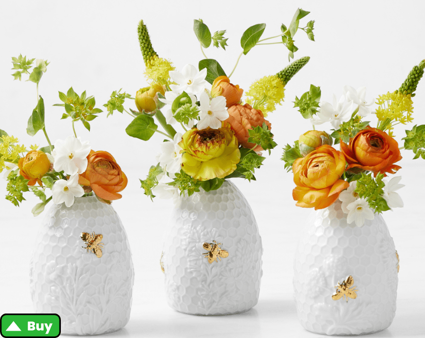 Transform Your Home: Unique Vases for Flowers and More