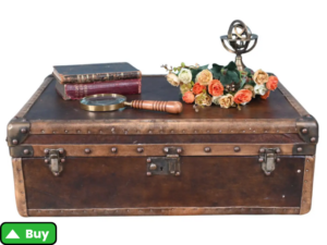 Leather Case Luggage Trunk Coffee Table Box Interior - 1stdibs.com